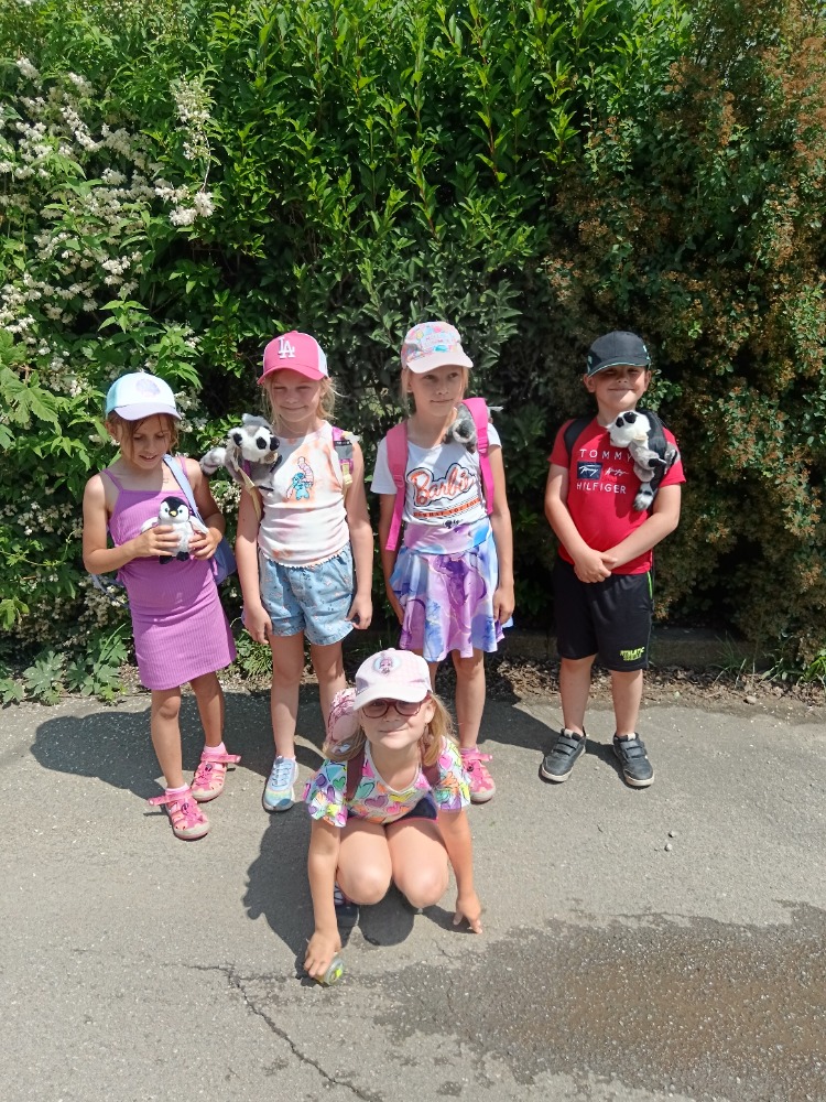 IMG_20250606_112649